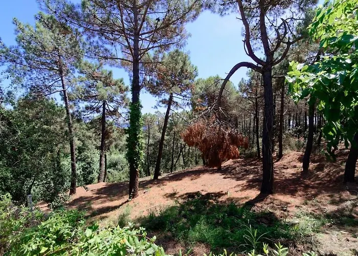 Cl11 Townhouse With Sea Views Casa vacanze *